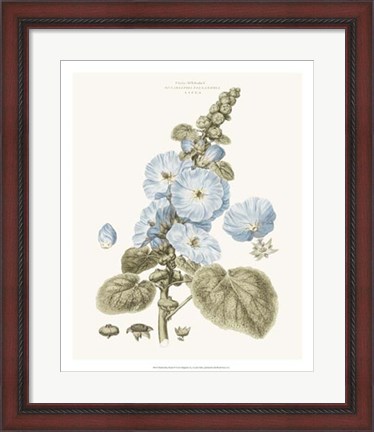Framed Bashful Blue Florals IV Print