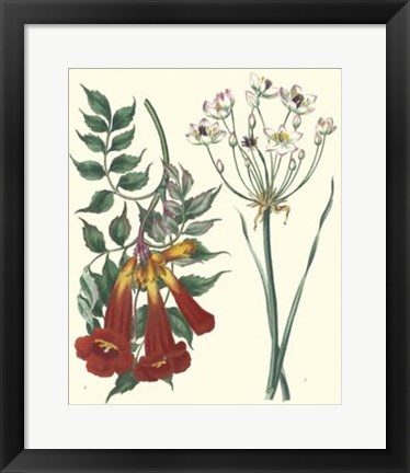 Framed Gardener&#39;s Delight VI Print