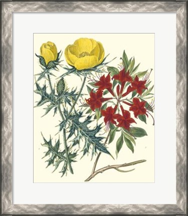 Framed Gardener&#39;s Delight VII Print