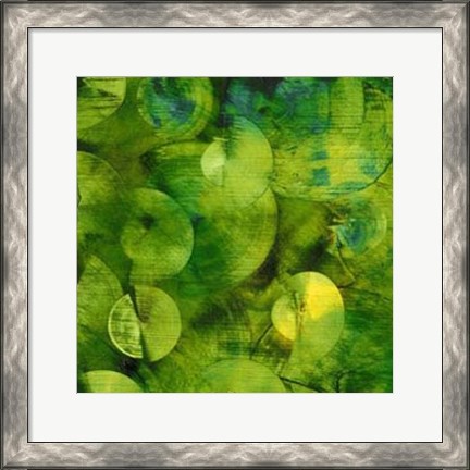 Framed Nautilus in Green I Print