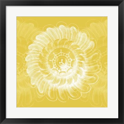 Framed Chromatic Rosette IV Print