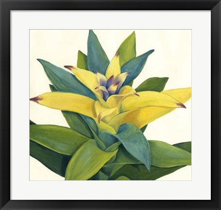 Framed Tropical Bloom II Print