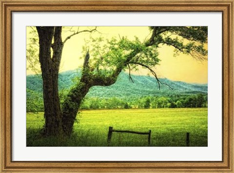 Framed Morning at the Cove II Print