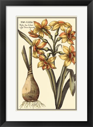 Framed Botanical Beauty IV Print