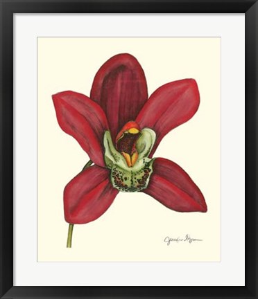 Framed Majestic Orchid III Print