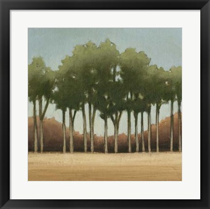 Framed Stand of Trees II Print
