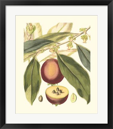 Framed Fantastical Botanical III Print