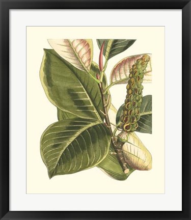 Framed Fantastical Botanical IV Print