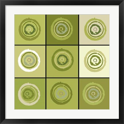 Framed Concentric Sage Print