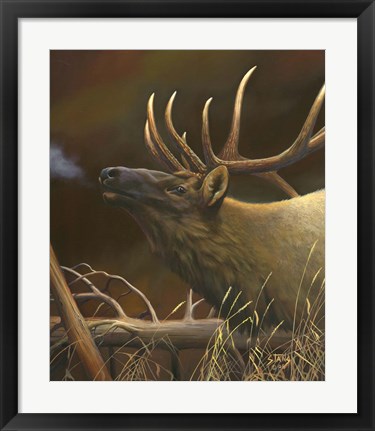 Framed Elk Portrait I Print
