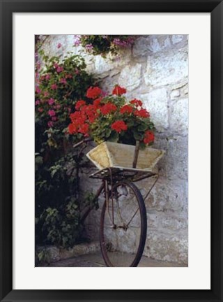 Framed Flower Box Bike Print