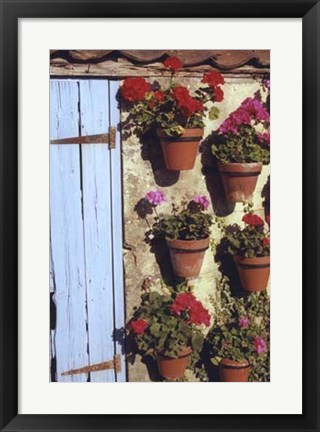 Framed Geranium Wall Print