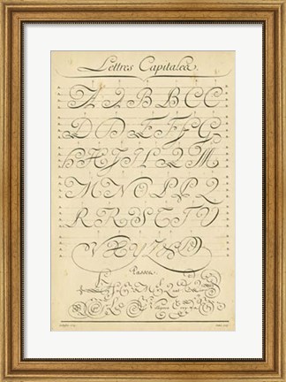 Framed Alphabet Sampler IV Print