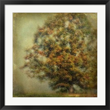 Framed Autumn&#39;s Dream Print