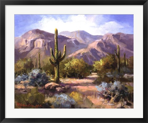 Framed Catalina Mountain Foothills Print