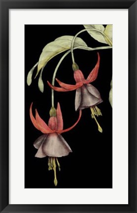 Framed Graphic Fuchsia V Print