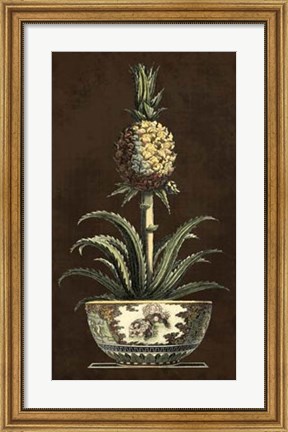 Framed Potted Pineapple II Print