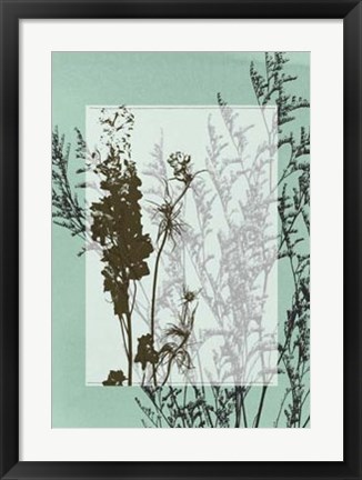 Framed Translucent Wildflowers I Print