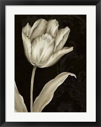 Framed Classical Tulip I Print