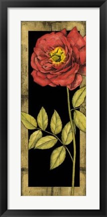 Framed Floral Inset IV Print