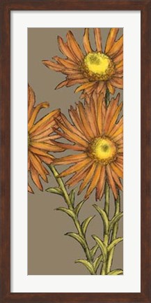 Framed Graphic Flower Panel I Print