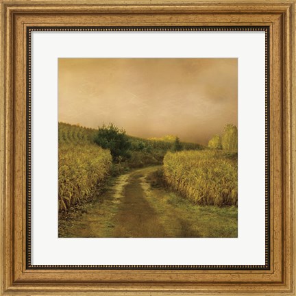 Framed Sunset Cornfield Print