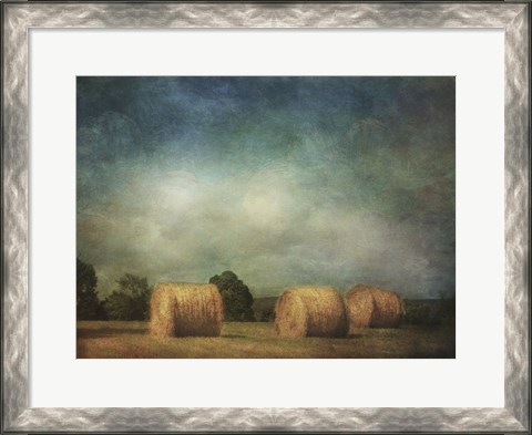 Framed Hay Rolls Print