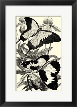 Framed B&amp;W Butterfly III Print