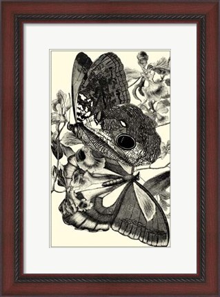 Framed B&amp;W Butterfly IV Print