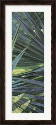 Framed Fan Palm II Print