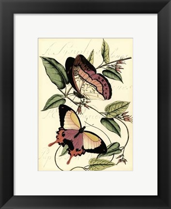Framed Petite Butterflies I Print
