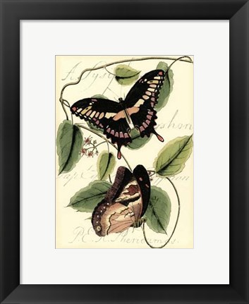 Framed Petite Butterflies III Print