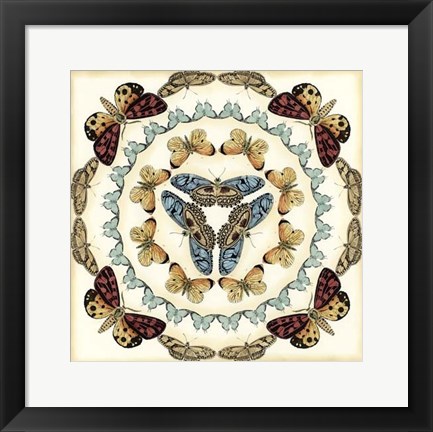 Framed Butterfly Collector IV Print