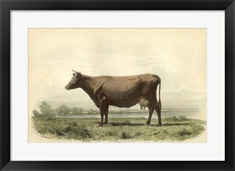 Framed Vache D&#39;Angeln Print