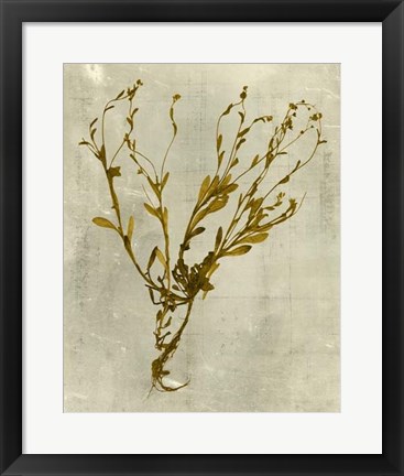 Framed Impressions in Mustard Print