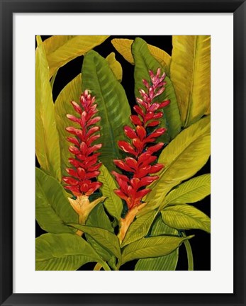 Framed Dramatic Red Ginger Print