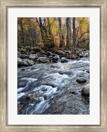 Framed Porter&#39;s Creek I Print