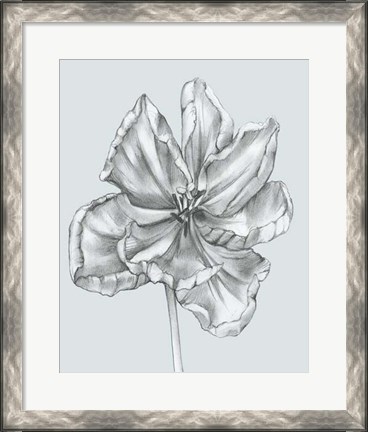Framed Silvery Blue Tulips IV Print