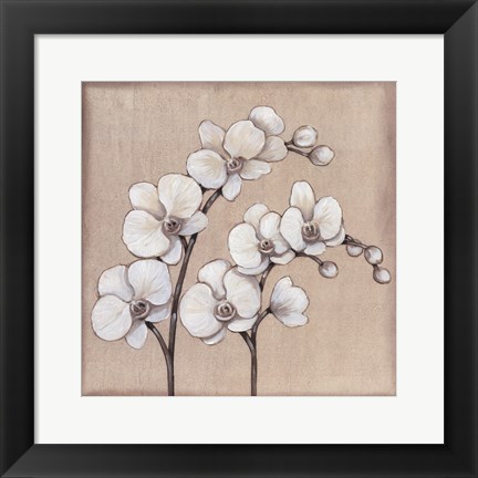 Framed White Orchid II Print