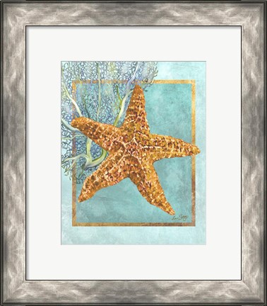 Framed Starfish and Coral Print