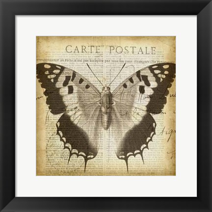 Framed Carte Postale Butterfly II Print