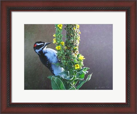 Framed Woodpecker Mullen Print