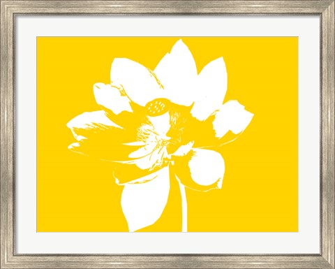 Framed Lilly on Yellow Print