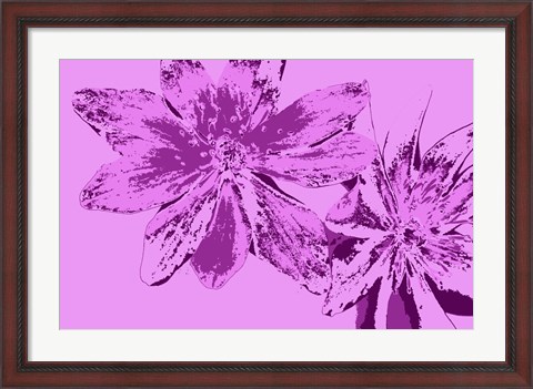 Framed Pink Anemone Print