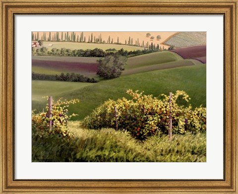 Framed Chianti Hills Print