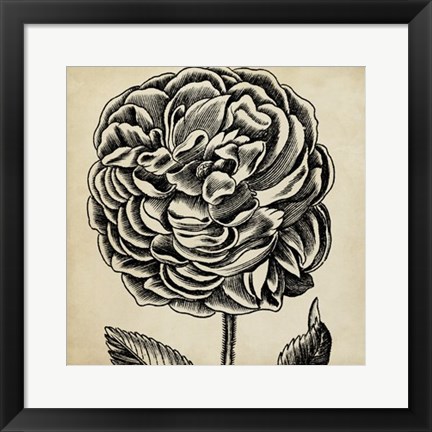 Framed Graphic Floral VII Print