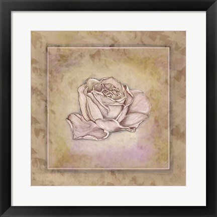 Framed Rose Square III Print