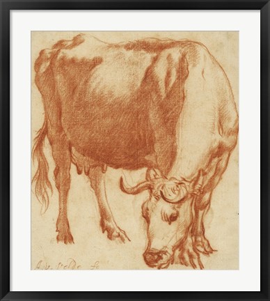 Framed Cow Grazing Print