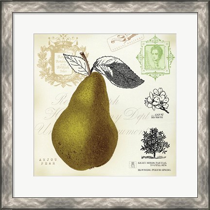 Framed Pear Notes Print