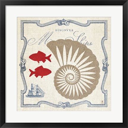 Framed Pacific Nautilus Print